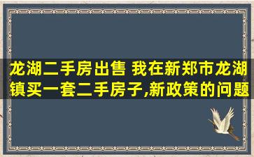 龙湖二手房* 我在新郑市龙湖镇买一套二手房子,新政策的问题